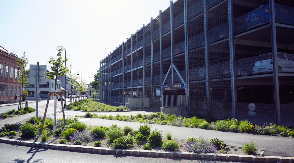 staudensubstrat chwala 4
